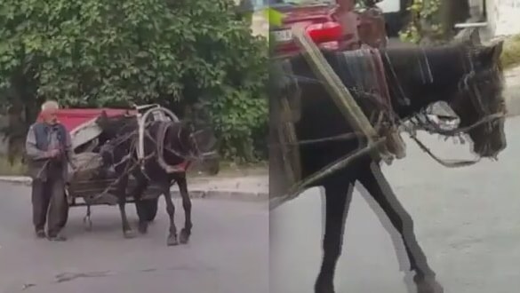 Ayağı sakat atla hurda toplayan kişiye tepki